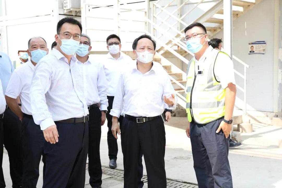 疫情马3.jpg 疫情马3.jpg